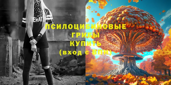 бошки Баксан