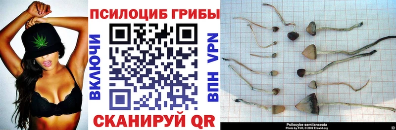 Галлюциногенные грибы Cubensis  Высоковск 